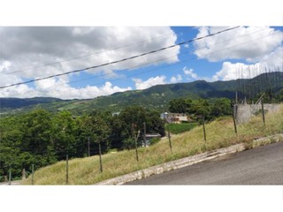 Solar Ceiba Norte