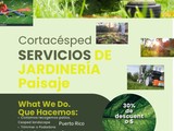 Cortacésped