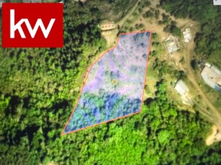 Bo. Saltos, Terreno en Orocovis