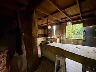 Hermosa Cabaña en Bo. Viví Abajo