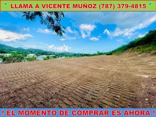 Urb. Quintas de Altamira