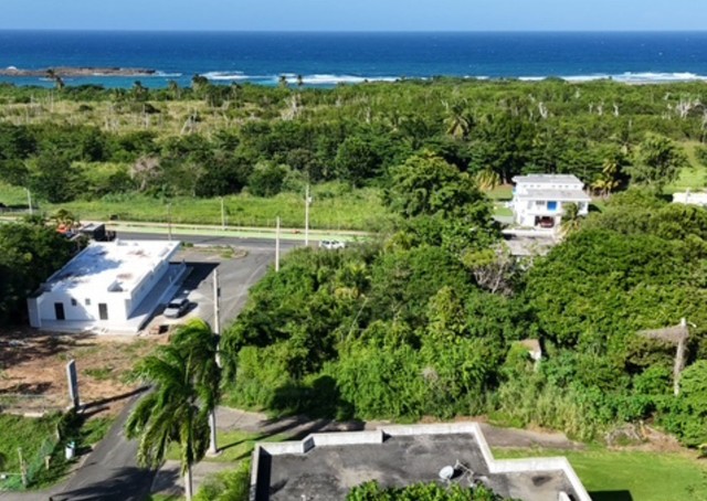 Camuy Bo Puente