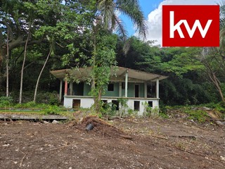 Bo. Morovis Norte, Finca en Morovis