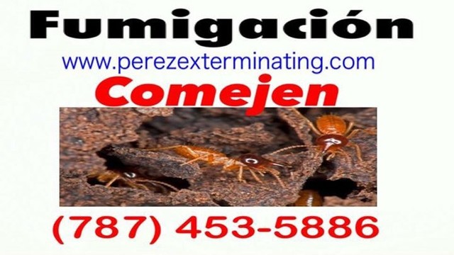 Exterminación plagas