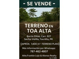 Terrano en Toa Alta - LLANO!