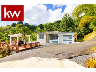 Bo. Palo Seco, Casa en Maunabo