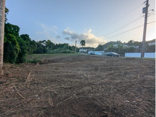 Terreno limpio 1,500m2, Monte Bello