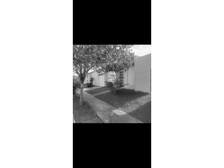 Urb. Jardines de Palo Blanco