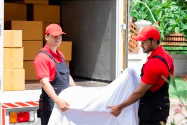 Ayudantes de mudanzas 787-598-0344