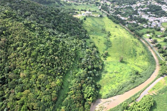 NAGUABO RIO BLANCO 34 CUERDAS