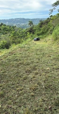 AGUAS BUENAS 3.9 CUERDAS DE TERRENO