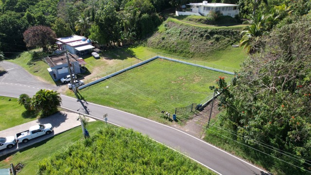 Photo 4