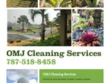 SERVICIO DE JARDINERIA Y RECOGIDO