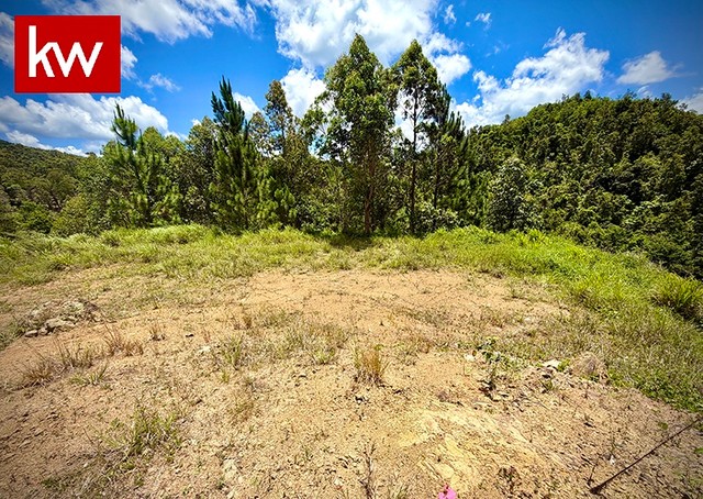 Bo. Cercadillo, Terreno en Cayey