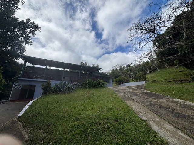 BO. MATON ARRIBA CARR.#1, CAYEY