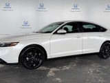  Honda Accord Sport  2024 