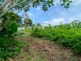 FOR SALE/EN VENTA TERRENO 1.24-Acre