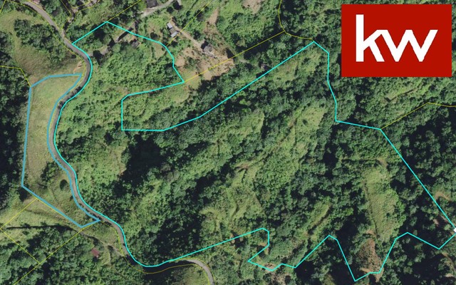 Bo. Rubias, Finca en Yauco