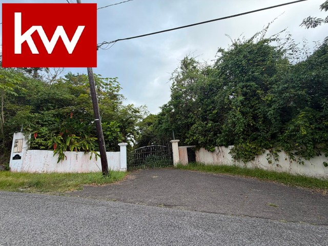 Bo. Montes Llanos, Finca en Ponce