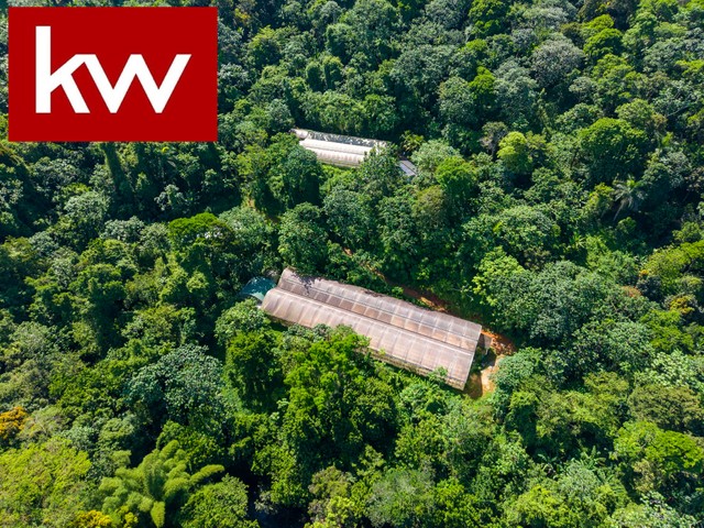 Finca en Bo. Rosario Alto