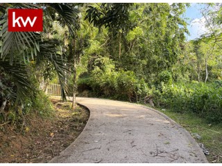 Lot in Guaynabo