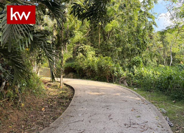 Bo. Santa Rosa, Terreno en Guayna...