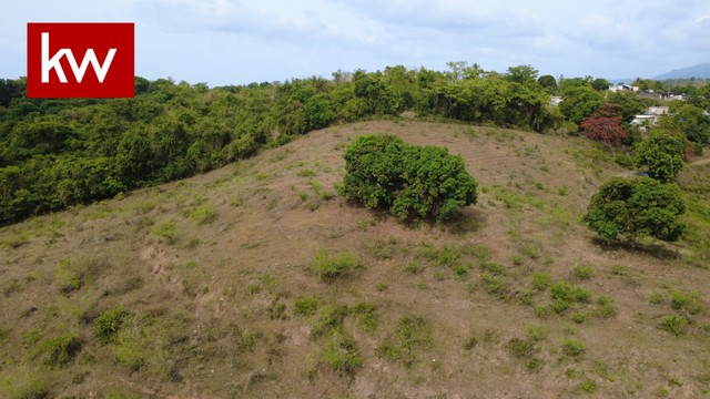Bo. Campo Rico,Terreno en Canóvan...