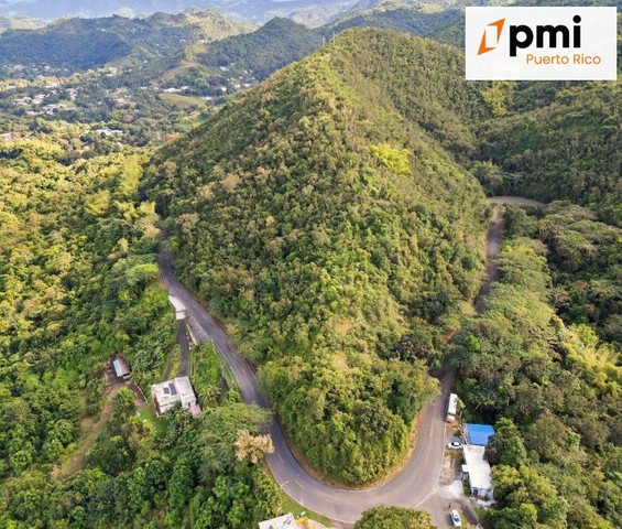 FINCA EN AIBONITO, 37.5 Cuerdas,