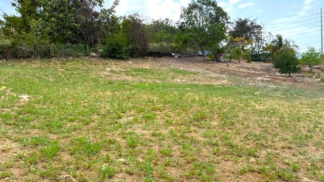Arecibo Urb. Colinas de Palmarito