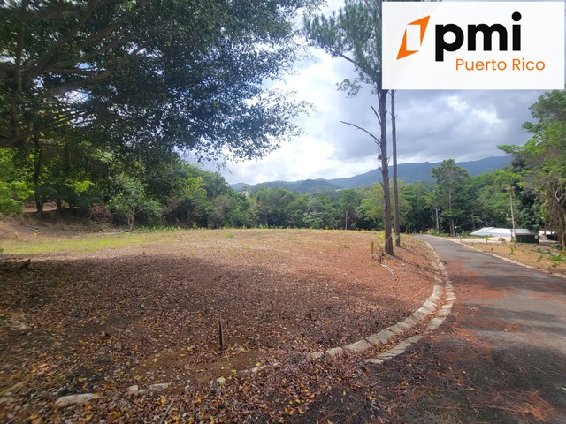 Finca de 25 Cuerdas con Casa 