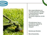 Corte de cesped