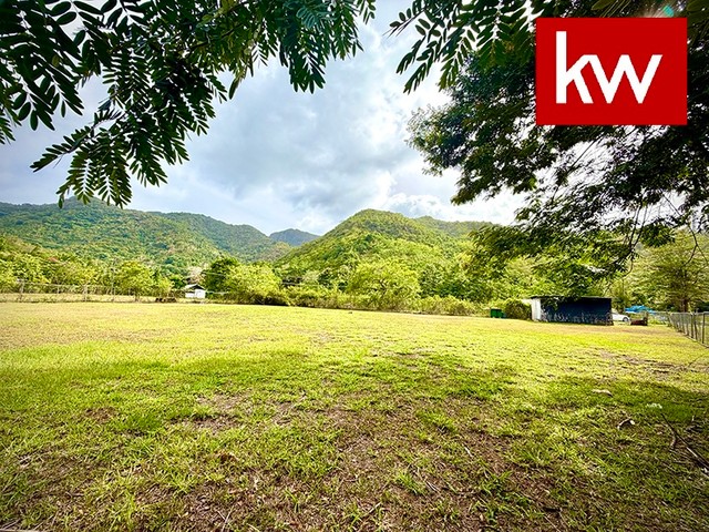 Bo. Maton Abajo, Terreno en Cayey