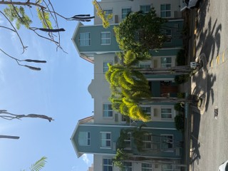 Apartment in Carolina