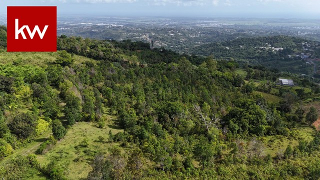 Bo Guzmán Arriba, Finca Rio Grande