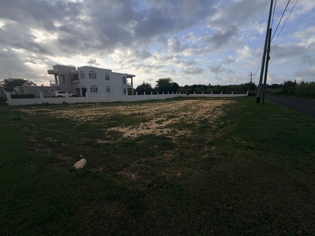 Photo 4