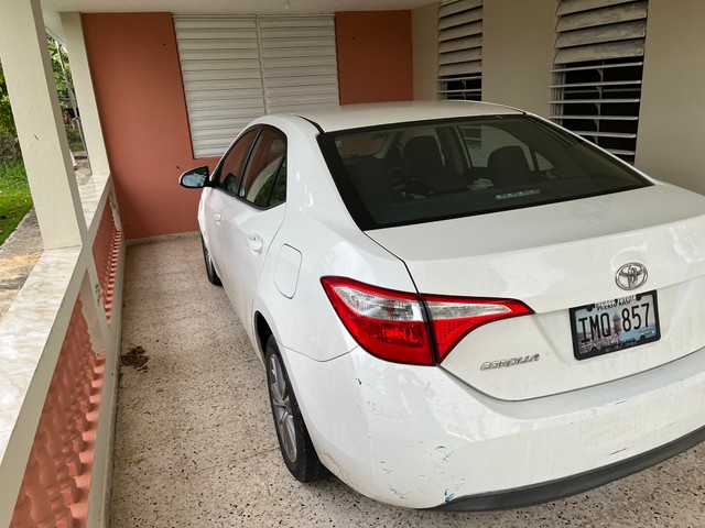 Toyota corolla