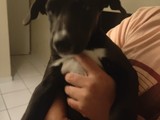 Betun Busca Hogar