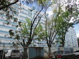 44| Los Almendros Plaza II apt. 505