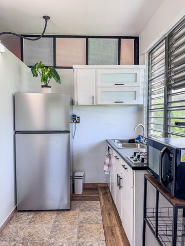 APARTAMENTO AMUEBLADO 