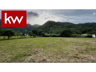 Bo. Maton Abajo, Terreno en Cayey