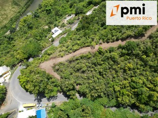 FINCA EN AIBONITO, 37.5 Cuerdas,