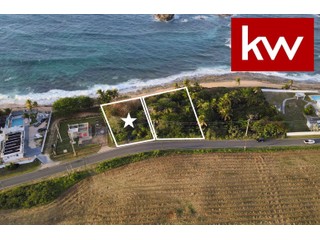 Bo. Islote, Finca en Arecibo
