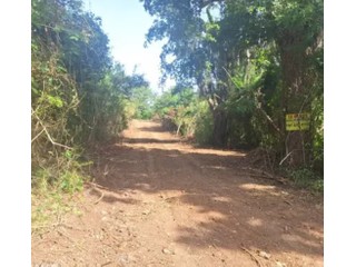 FINCA 25.17 CUERDAS CON VISTA AL MA