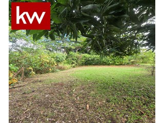Bo. Frontón, Finca en Ciales