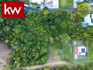 Bo. Factor, Terreno en Arecibo