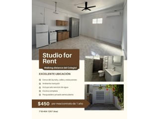 Ensanche Martinez, Apt Studio $450