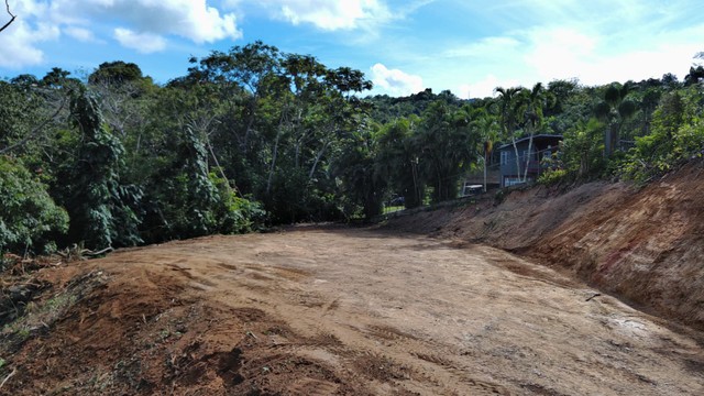 Bo. Hato Nuevo, Terreno en Guayna...