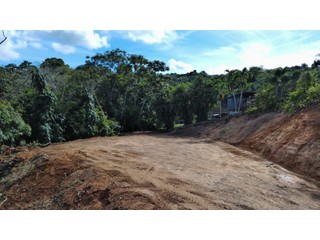 Lot in Guaynabo