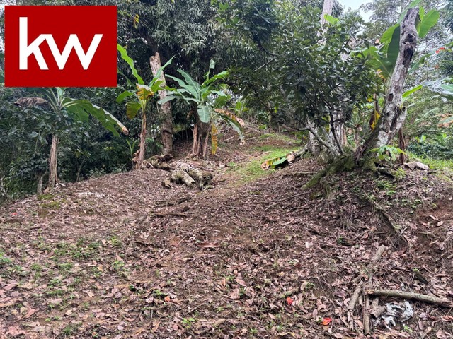 Bo. Montes Llanos, Terreno en Pon...