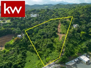 Bo. Cacao, Finca en Carolina